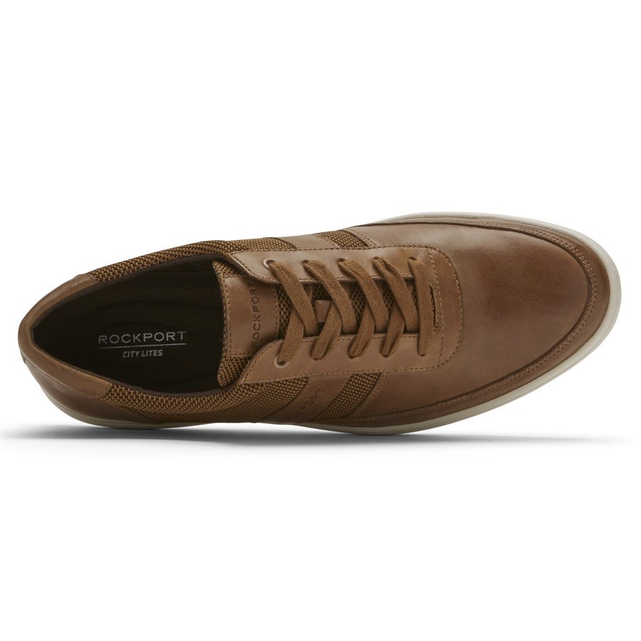 Rockport Colle Ubal Sneakers Heren Bruin | NL46091O8