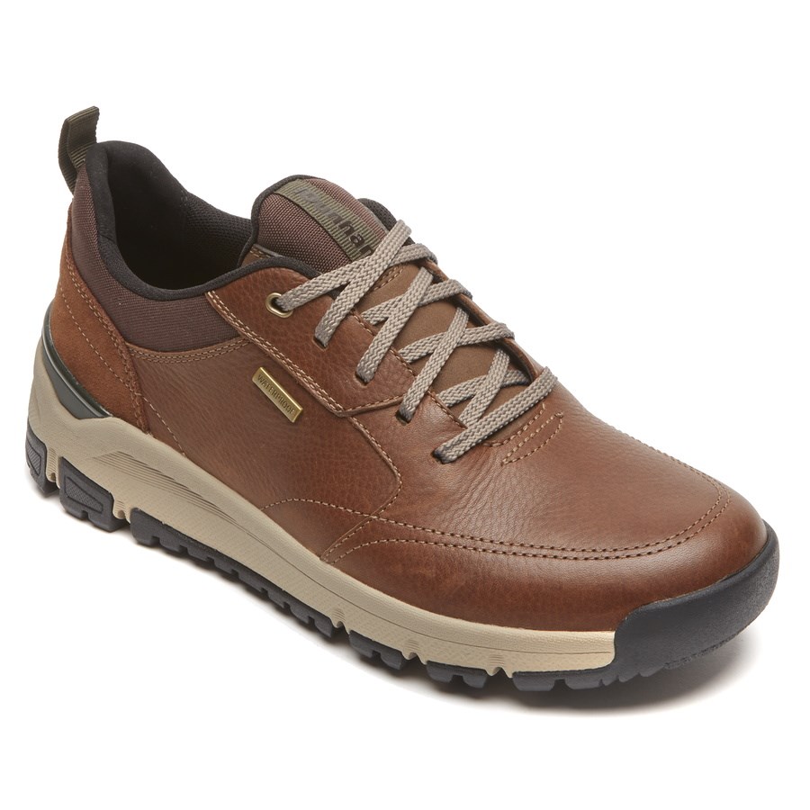 Rockport Glastonbury Ubal Waterdichte Sneakers Heren Donkerbruin | NL05M8I9O