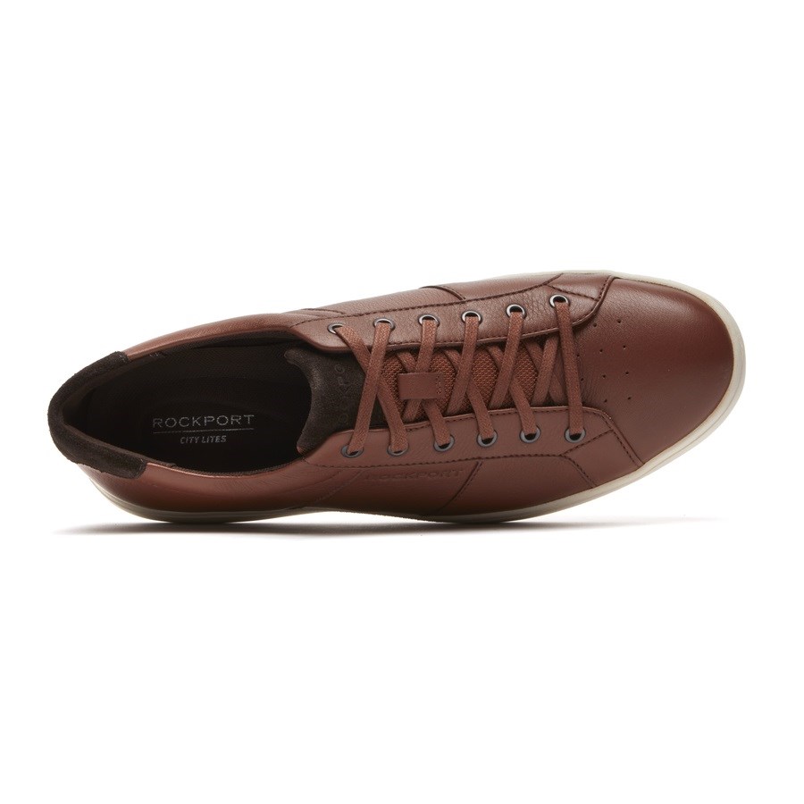 Rockport Jarvis Kanten-to-Neus Sneakers Heren Donkerbruin | NL1089O52