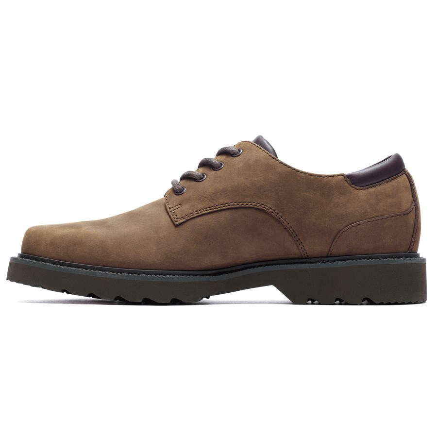 Rockport Northfield Waterdichte Oxford Schoenen Heren Donkerbruin | NL5M906IO