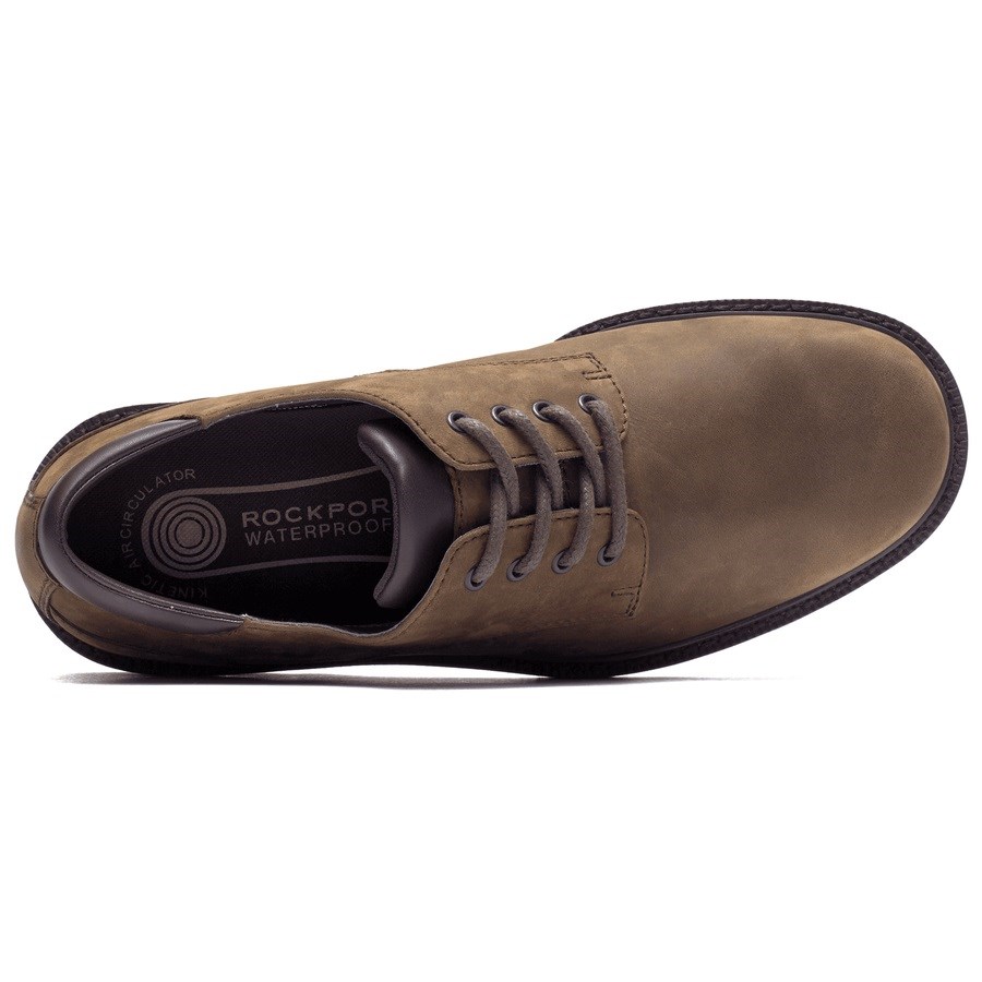 Rockport Northfield Waterdichte Oxford Schoenen Heren Donkerbruin | NL5M906IO