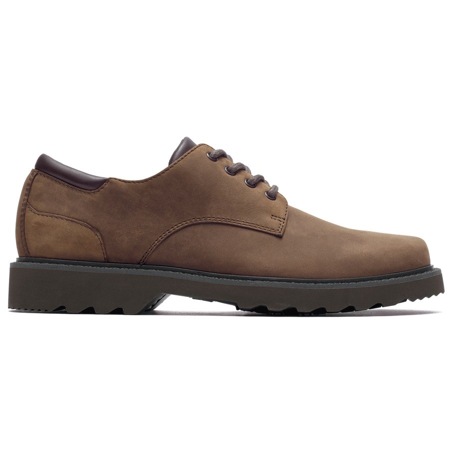 Rockport Northfield Waterdichte Oxford Schoenen Heren Donkerbruin | NL5M906IO