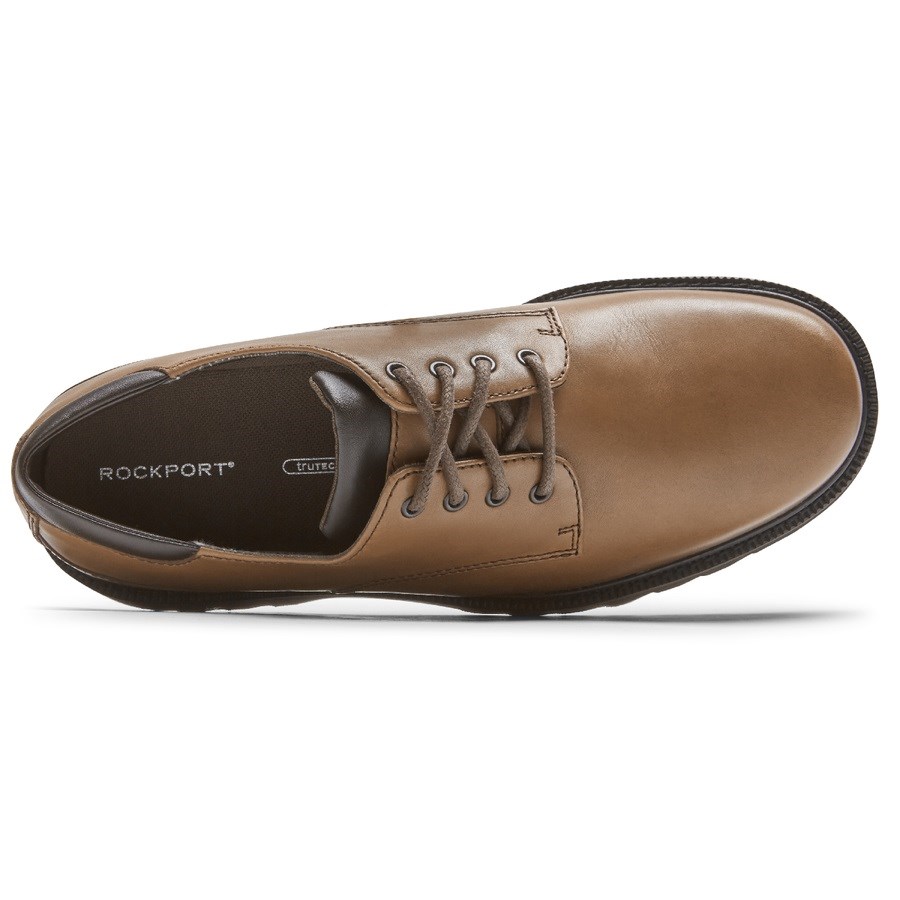 Rockport Northfield Waterdichte Oxford Schoenen Heren Bruin | NL621MI59