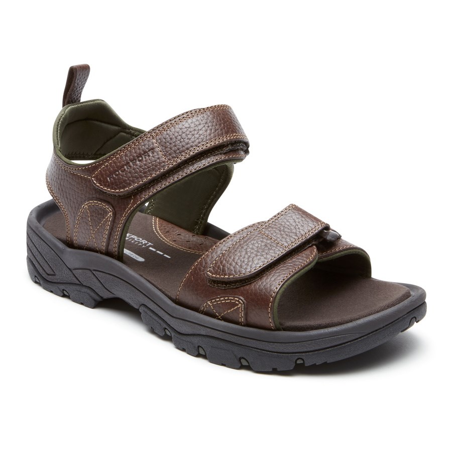 Rockport SpringBoro Rocklake Sandalen Heren Donkerbruin | NL46895I0