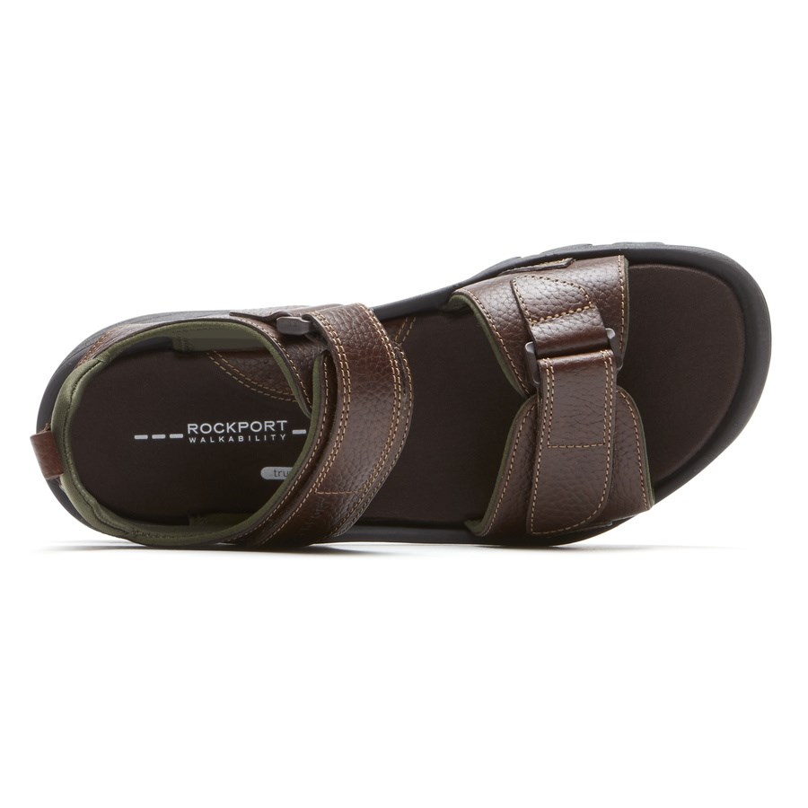 Rockport SpringBoro Rocklake Sandalen Heren Donkerbruin | NL46895I0