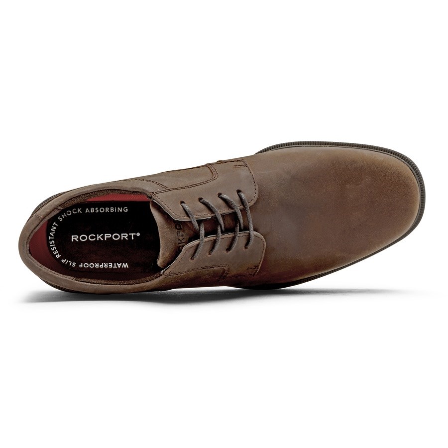 Rockport Taylor Plain Neus Waterdichte Oxford Schoenen Heren Donkerbruin | NL4085961