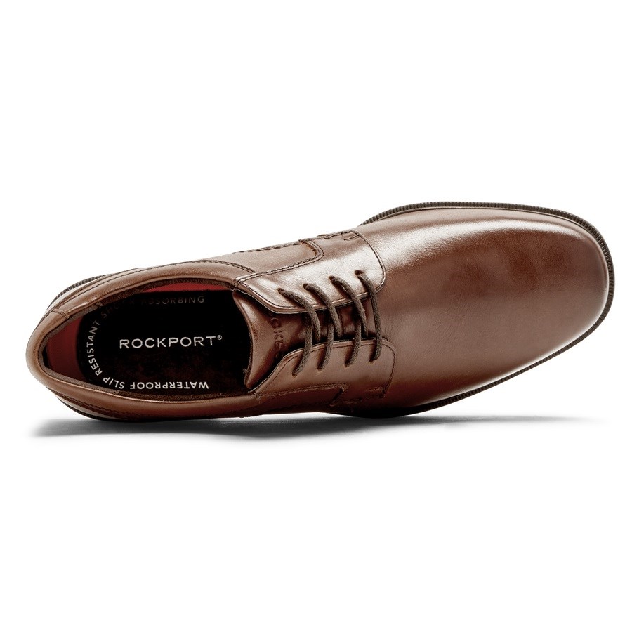 Rockport Taylor Plain Neus Waterdichte Oxford Schoenen Heren Donkerbruin | NL40O859I